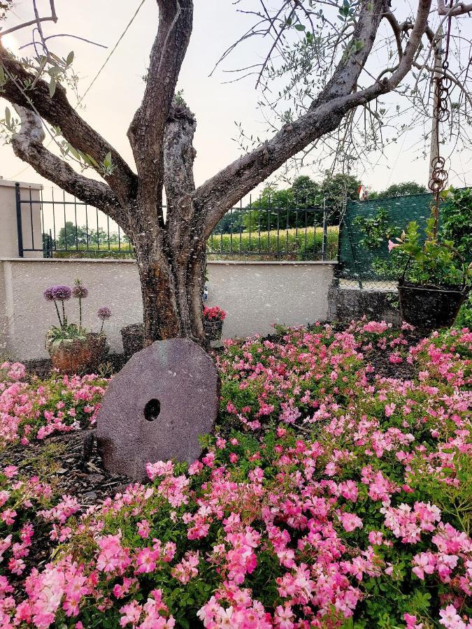 Casa Autunno Hotel Monzambano Eksteriør billede